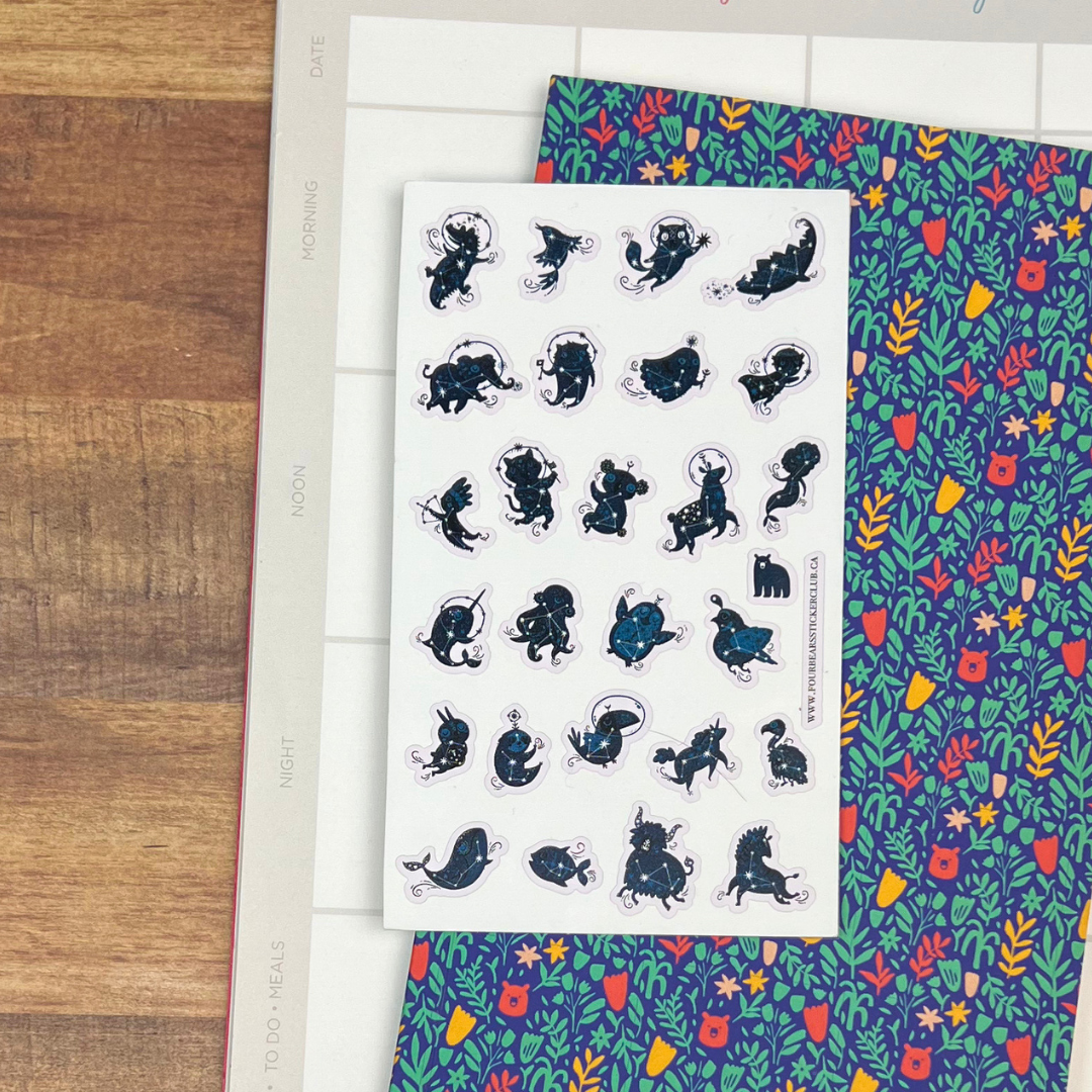 Spacial Animal Alphabet