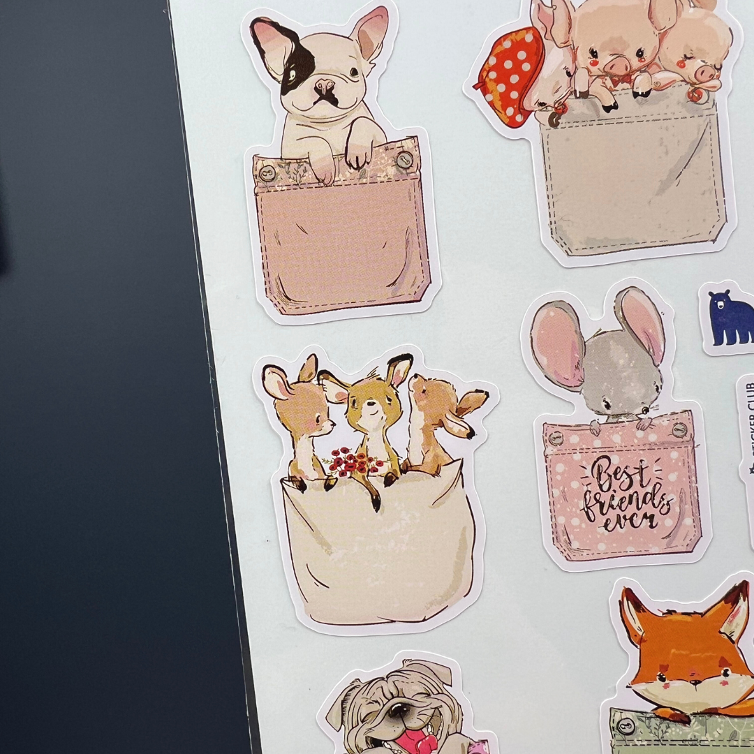 Pocket Friends