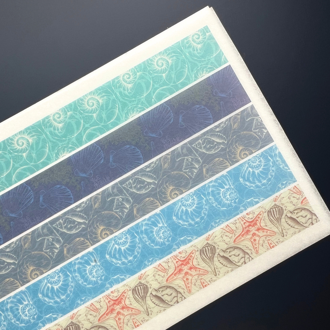 Seashell Washi