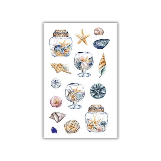 Seashells from the Seashore