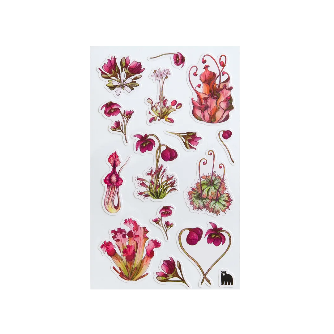 Carnivorous Plants