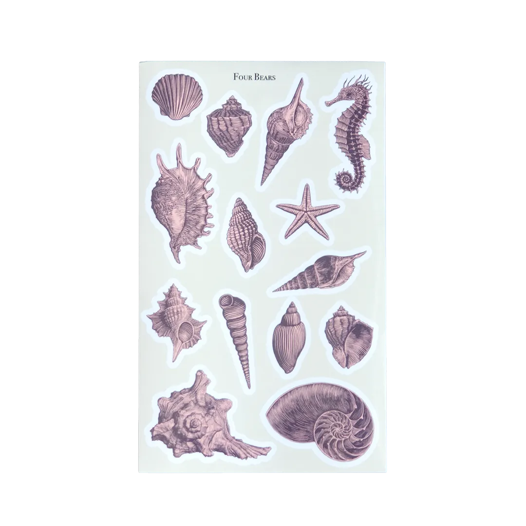 Sea Shells - Four Bears Sticker Club
