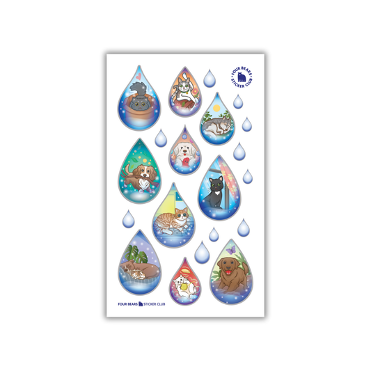 Raining Cats and Dogs