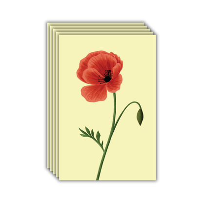 Poppy Postcards