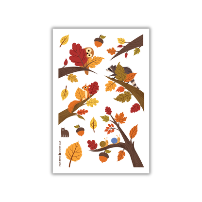 Autumn Canopy