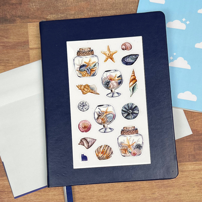 Seashells from the Seashore