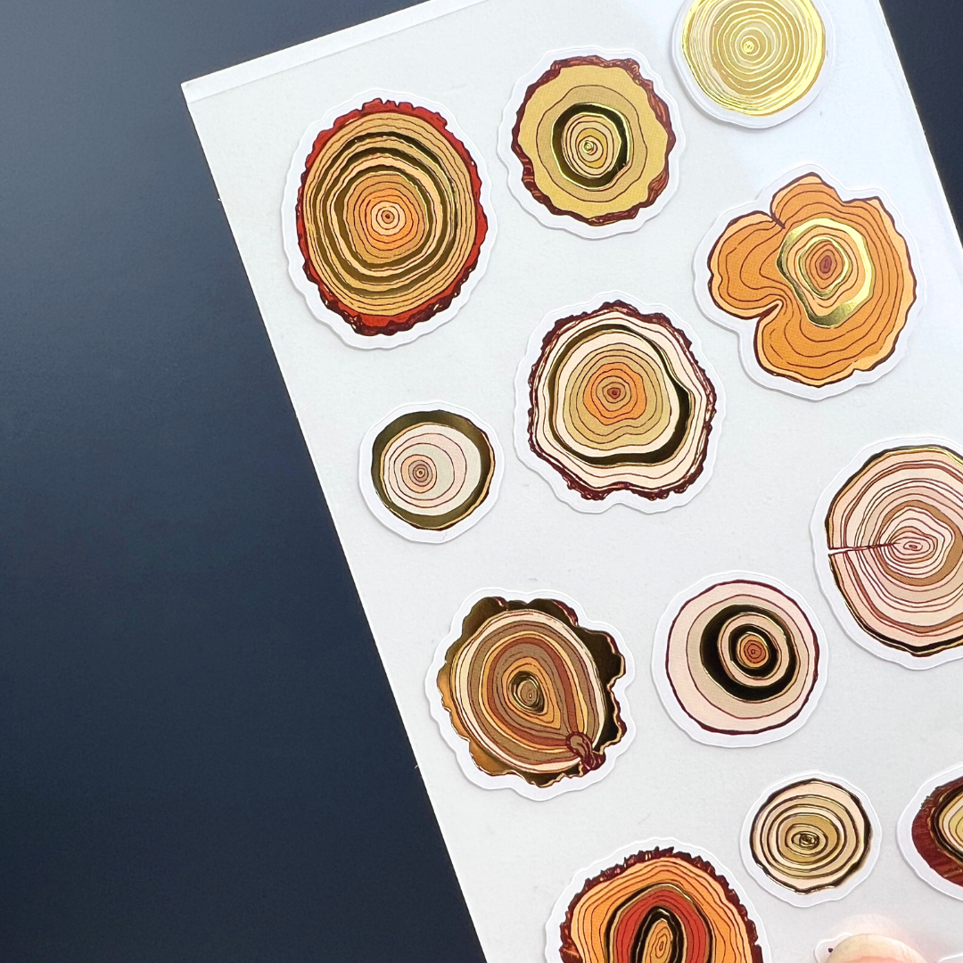 Tree Rings Bear Tree Rings – Four Bears Sticker Club