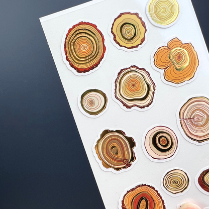 Tree Rings