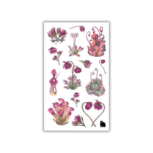 Carnivorous Plants