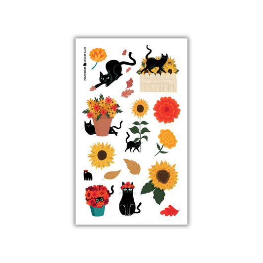 Black Cat Blooms