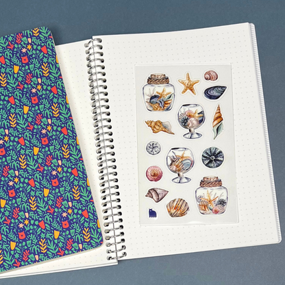 Seashells from the Seashore