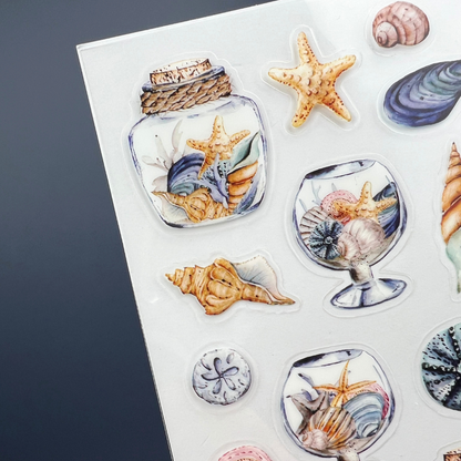 Seashells from the Seashore